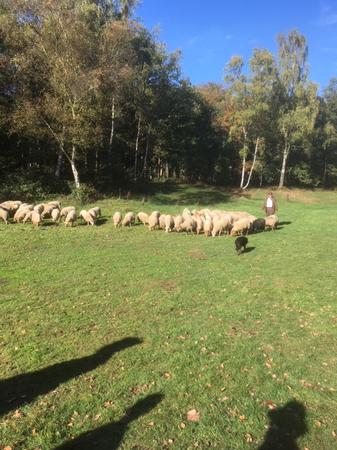 Foto 2 wandeling met herders