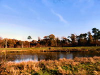 boswachterijdorst