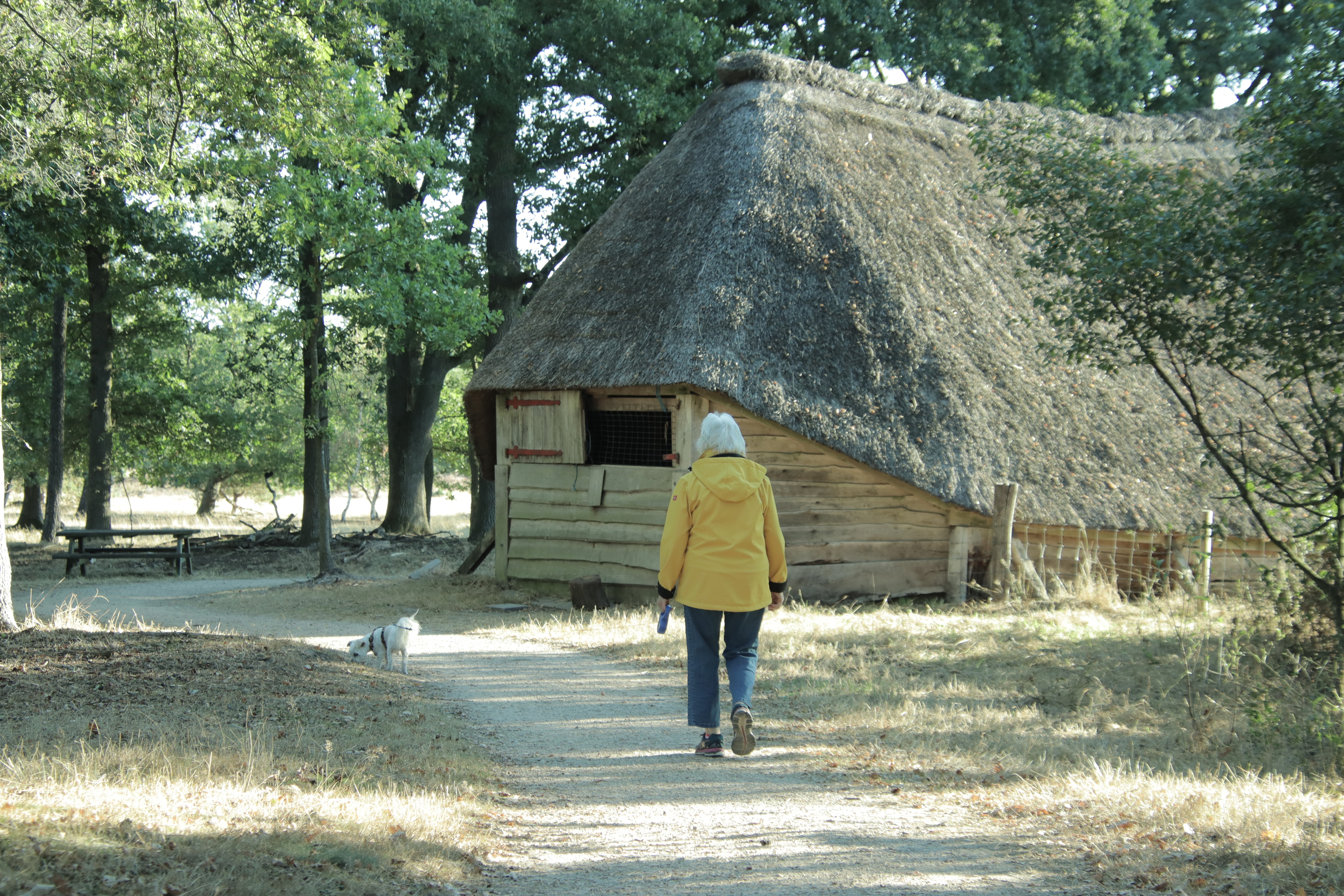 Foto vrouw met hond bij schaapskooi